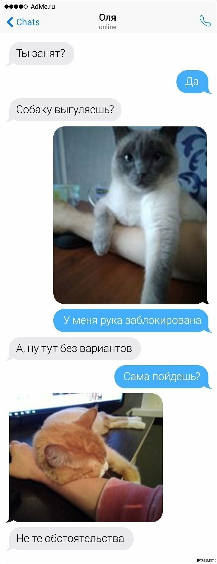 Солянка