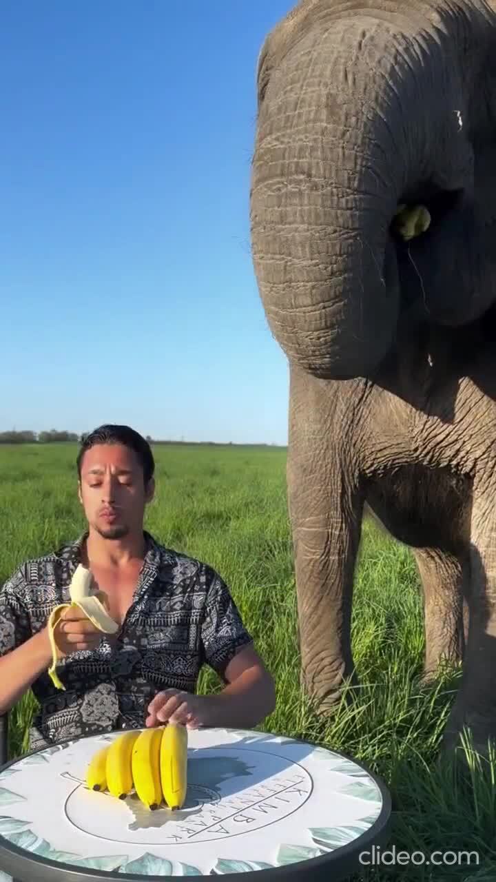 Надо делиться 