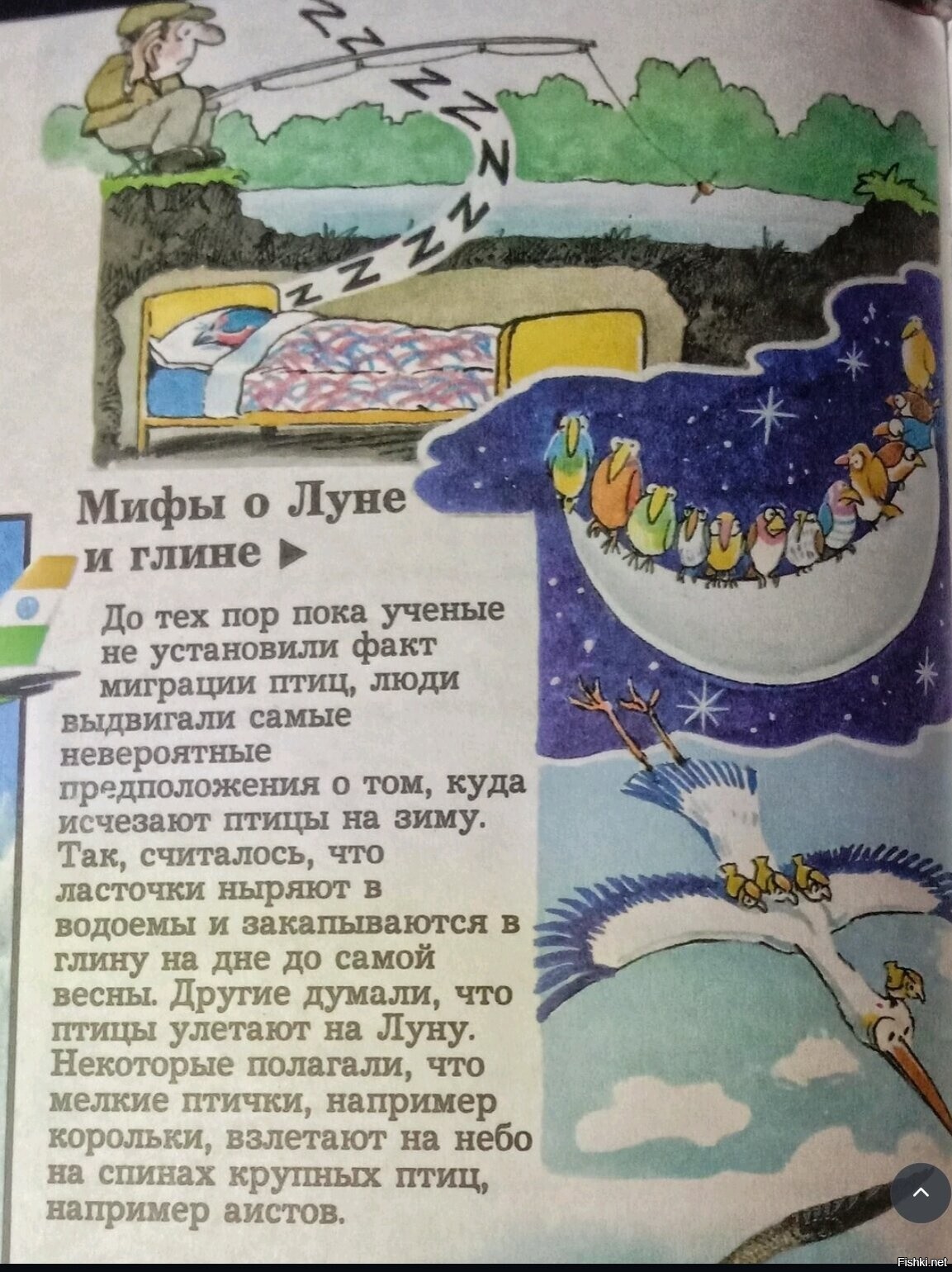 Солянка