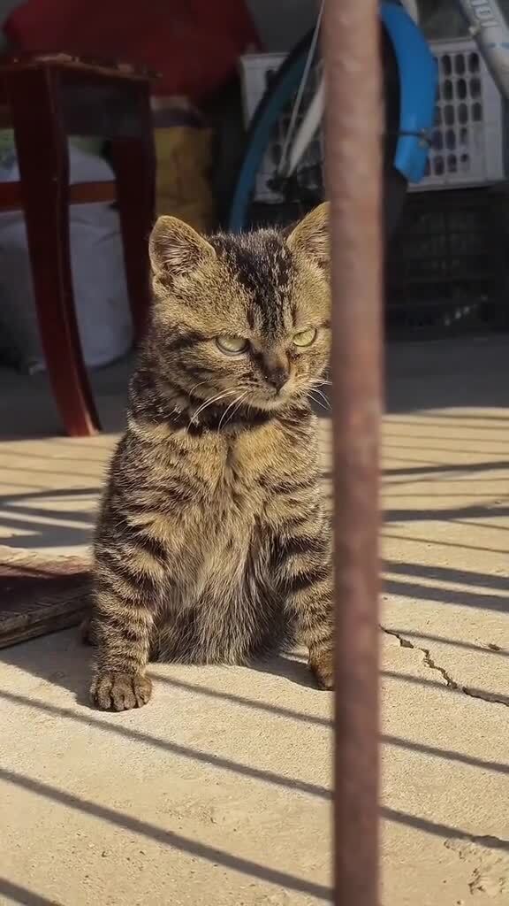 Молод, но крут)