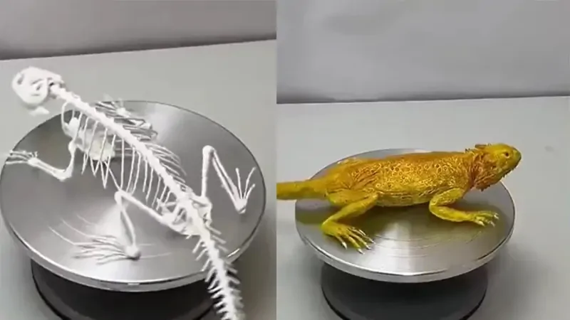 Ящерица из сахарной мастики