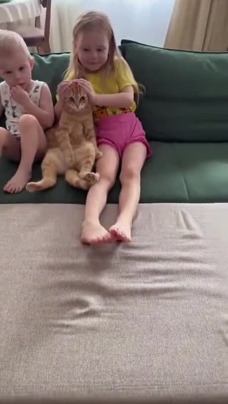 Спокойная жизнь для котика, это святое