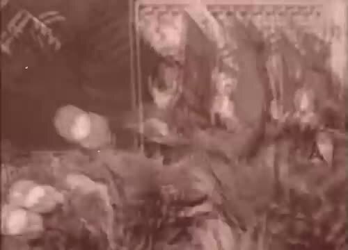 Сектор Газа-туман