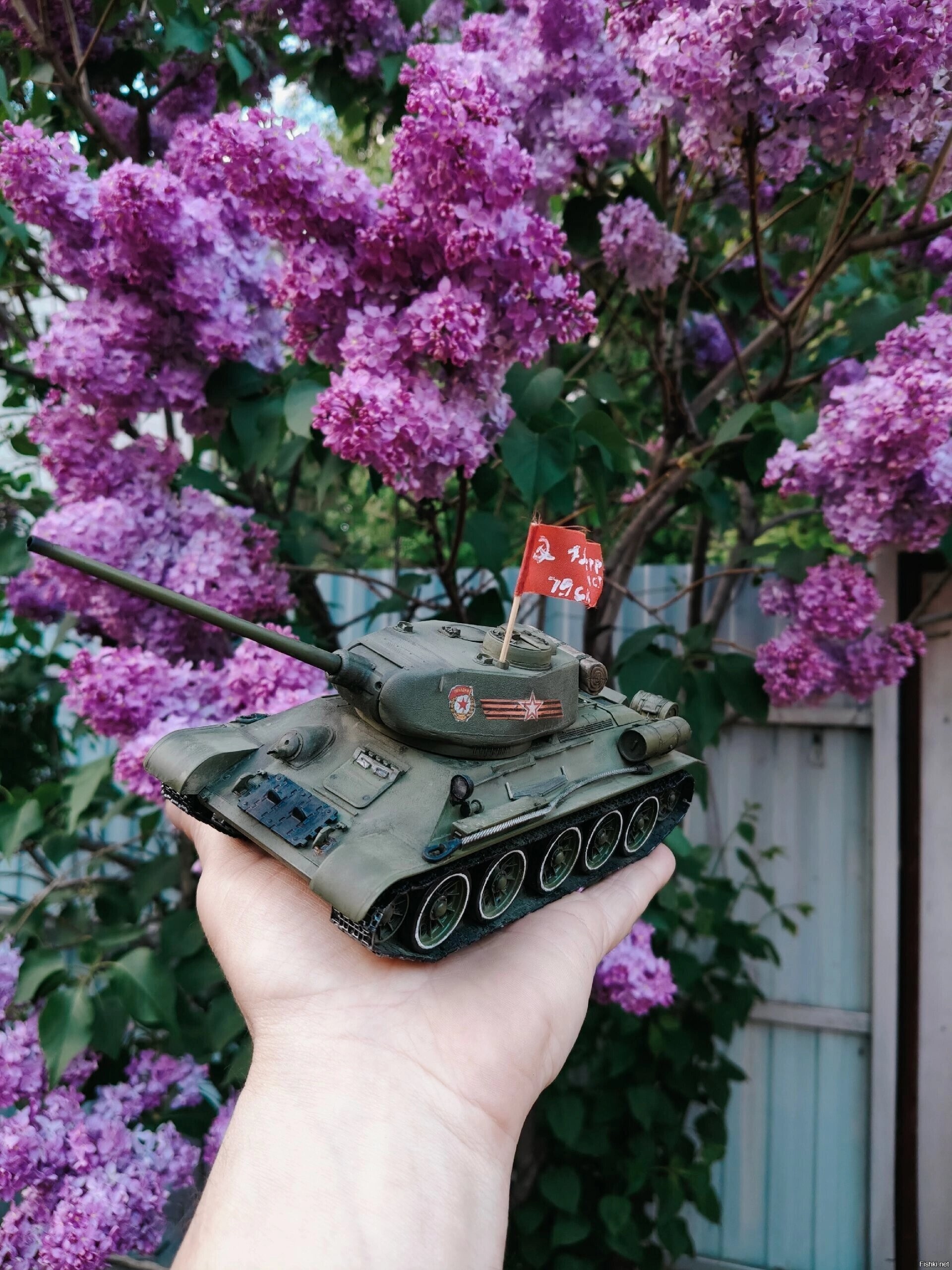 Солянка