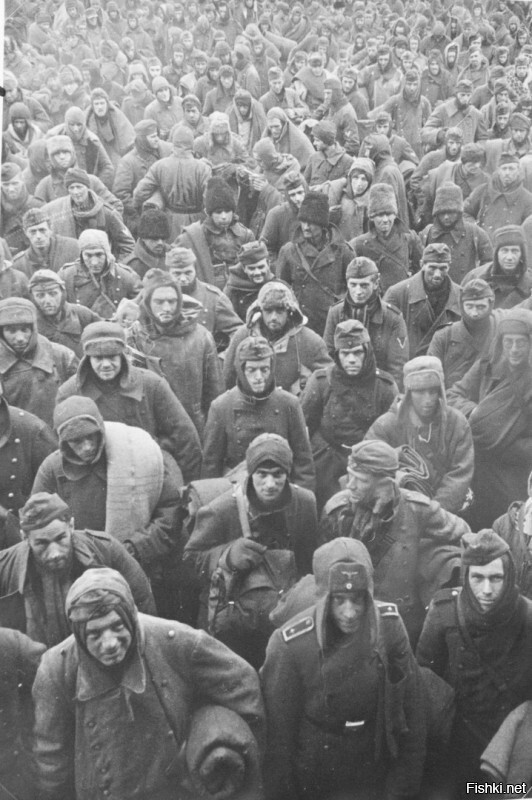 Немецкие, итальянские и румынские военнопленные в Сталинграде