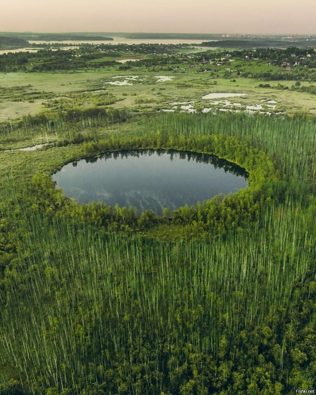Солянка