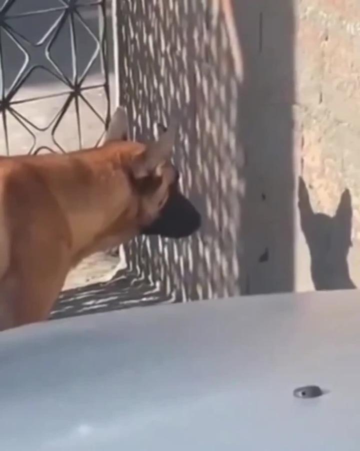 Ты что, следишь за мной