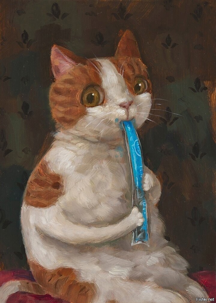 Солянка