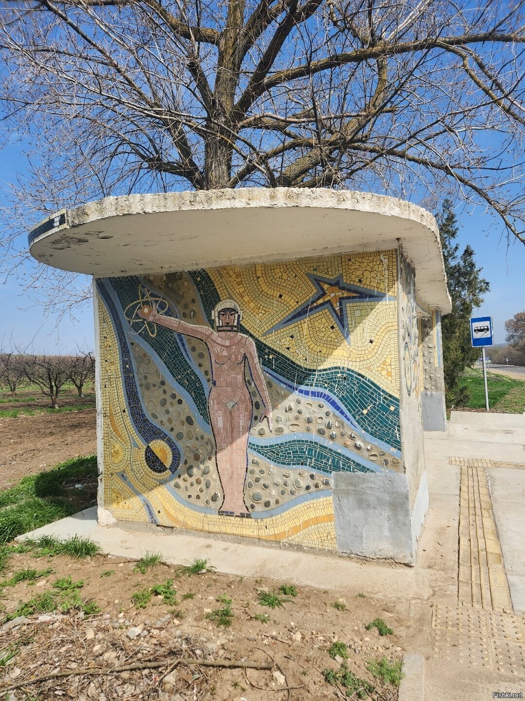 Солянка