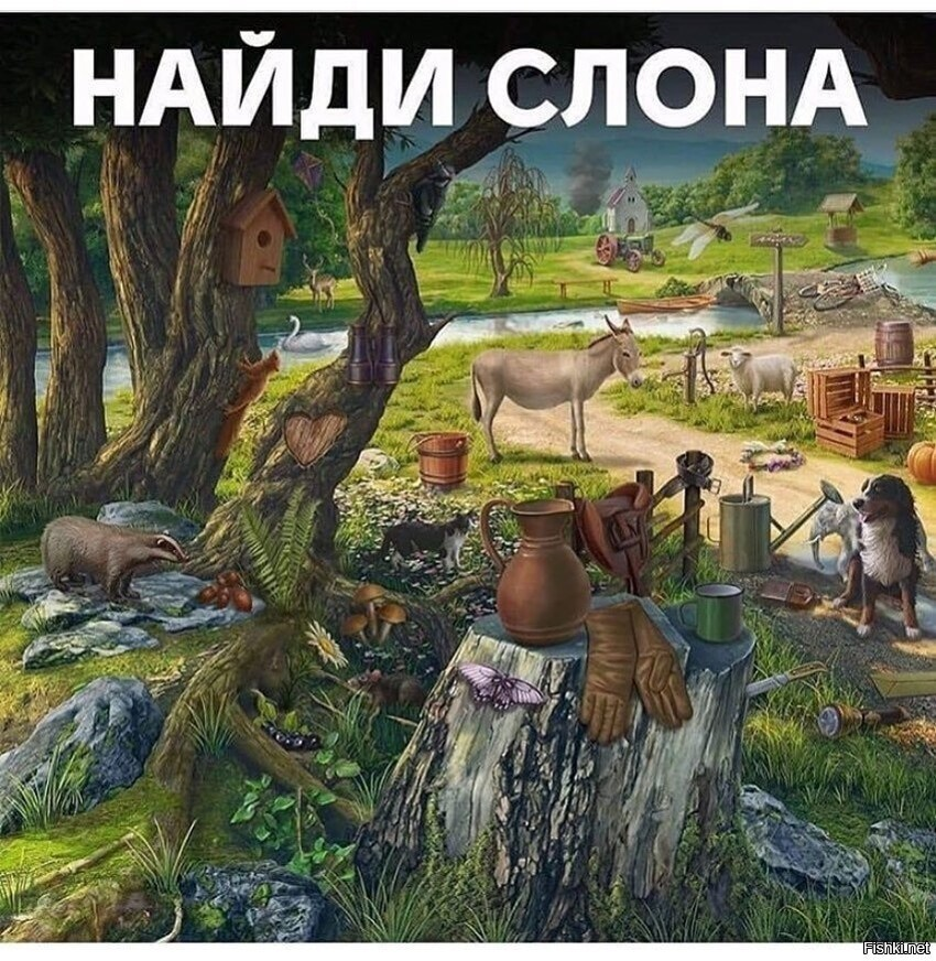Солянка