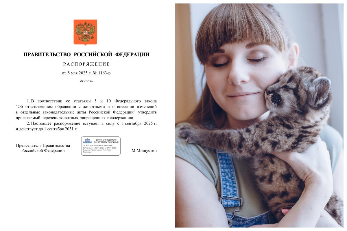 Крокодилы, бегемоты: в России утвердили перечень животных, которых запрещено содержать в домашних условиях