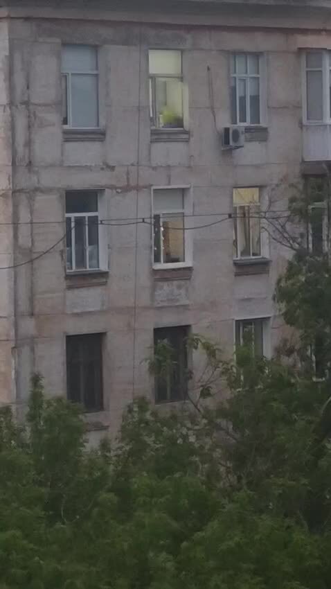 У кого то в Павлодаре ёлка не убрана до сих пор)