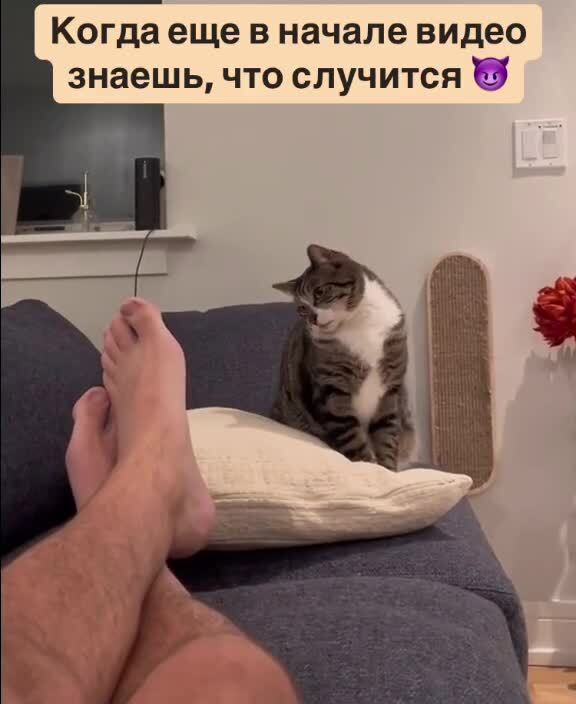 Неизбежность)