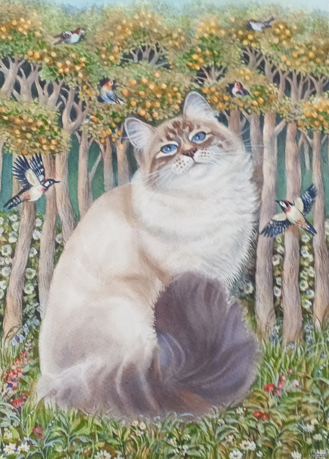 Кот Дассен