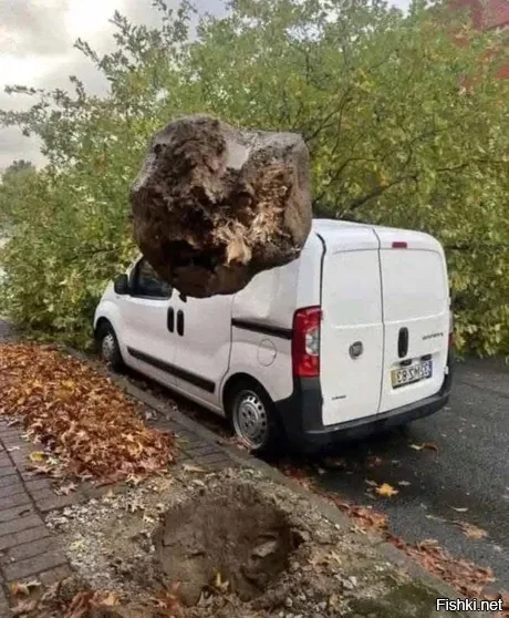 Солянка