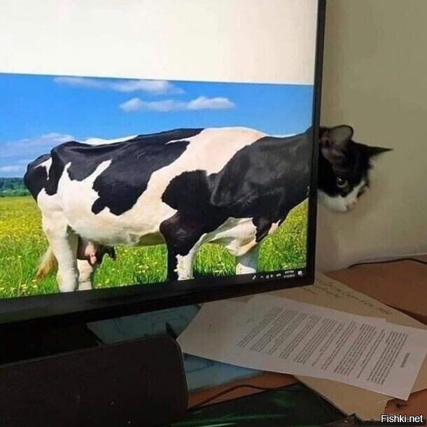 Солянка