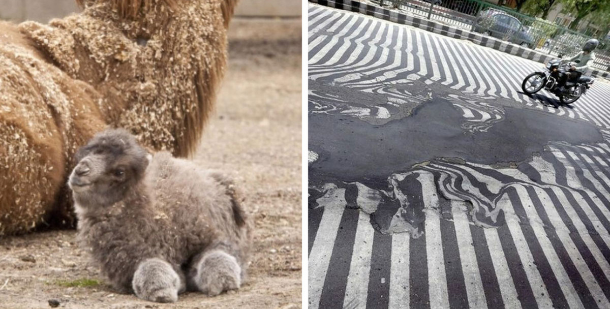 20 фотографий удивительных вещей и явлений, которые можно и не увидеть за всю свою жизнь