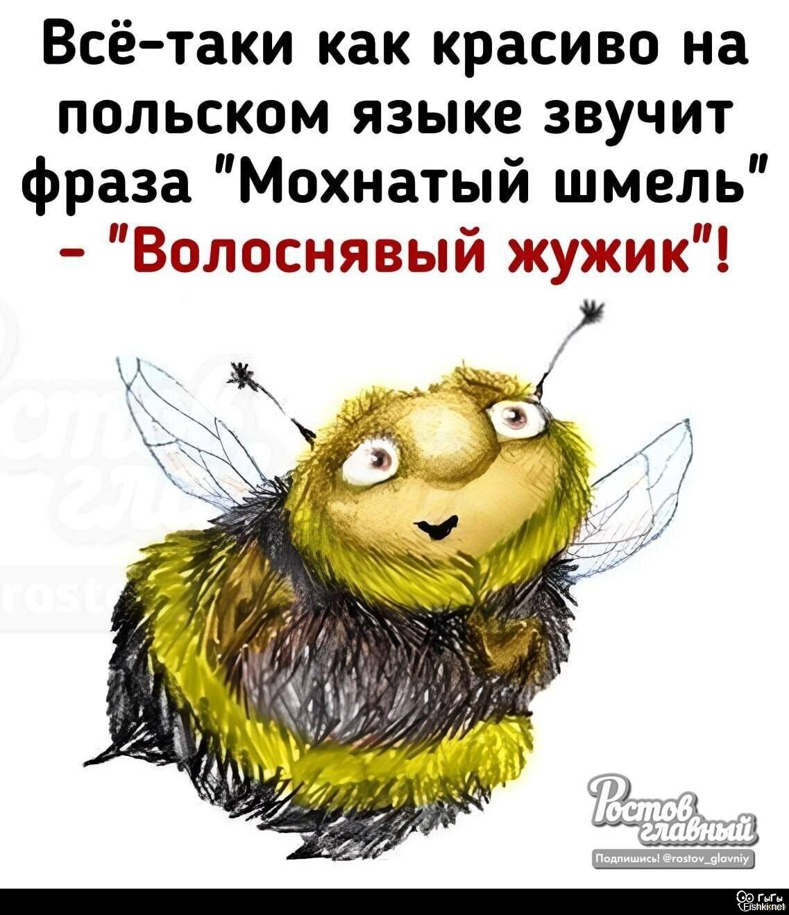 Доброе утро