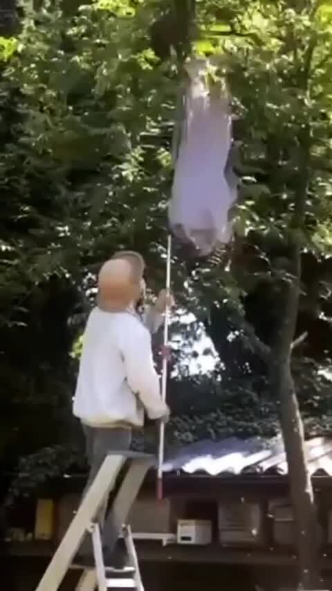 Самый невезучий пчеловод