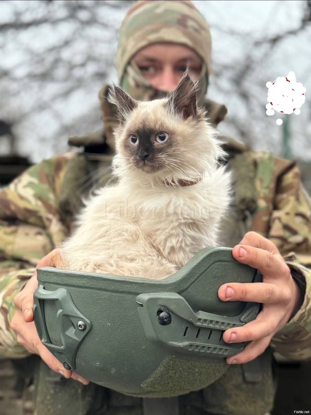 Солянка