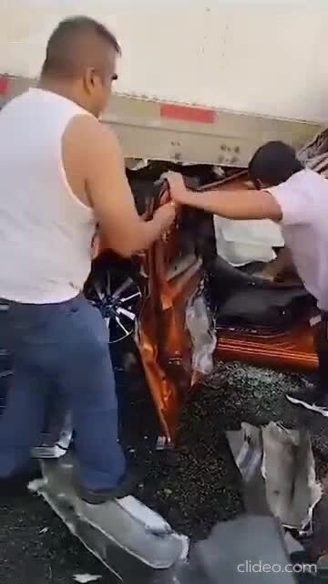 Как ему удалось выжить