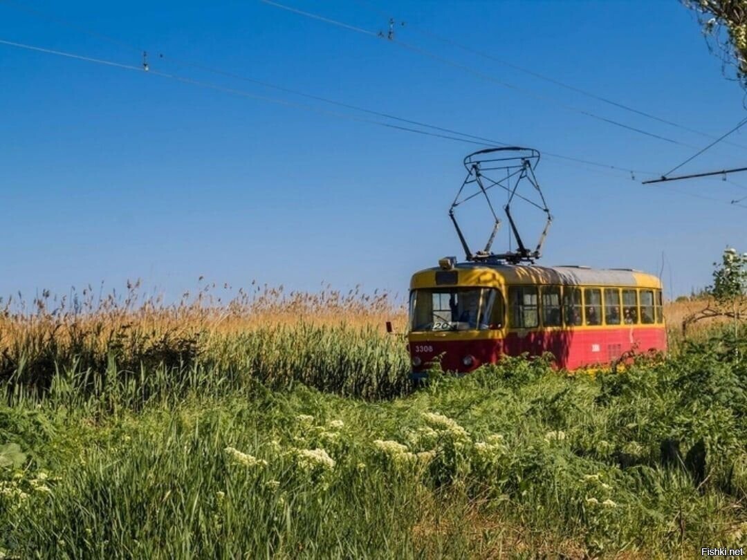 Солянка