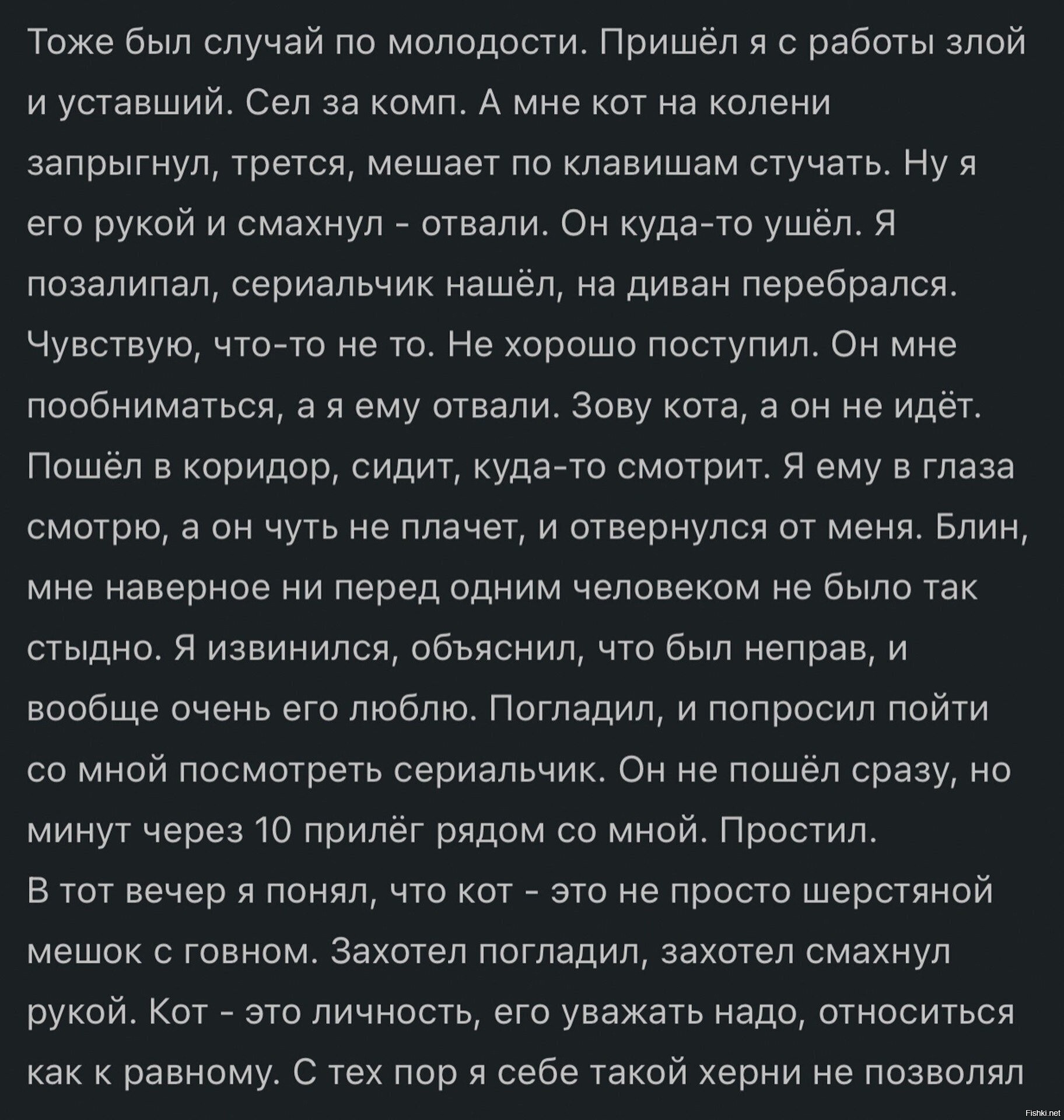Солянка