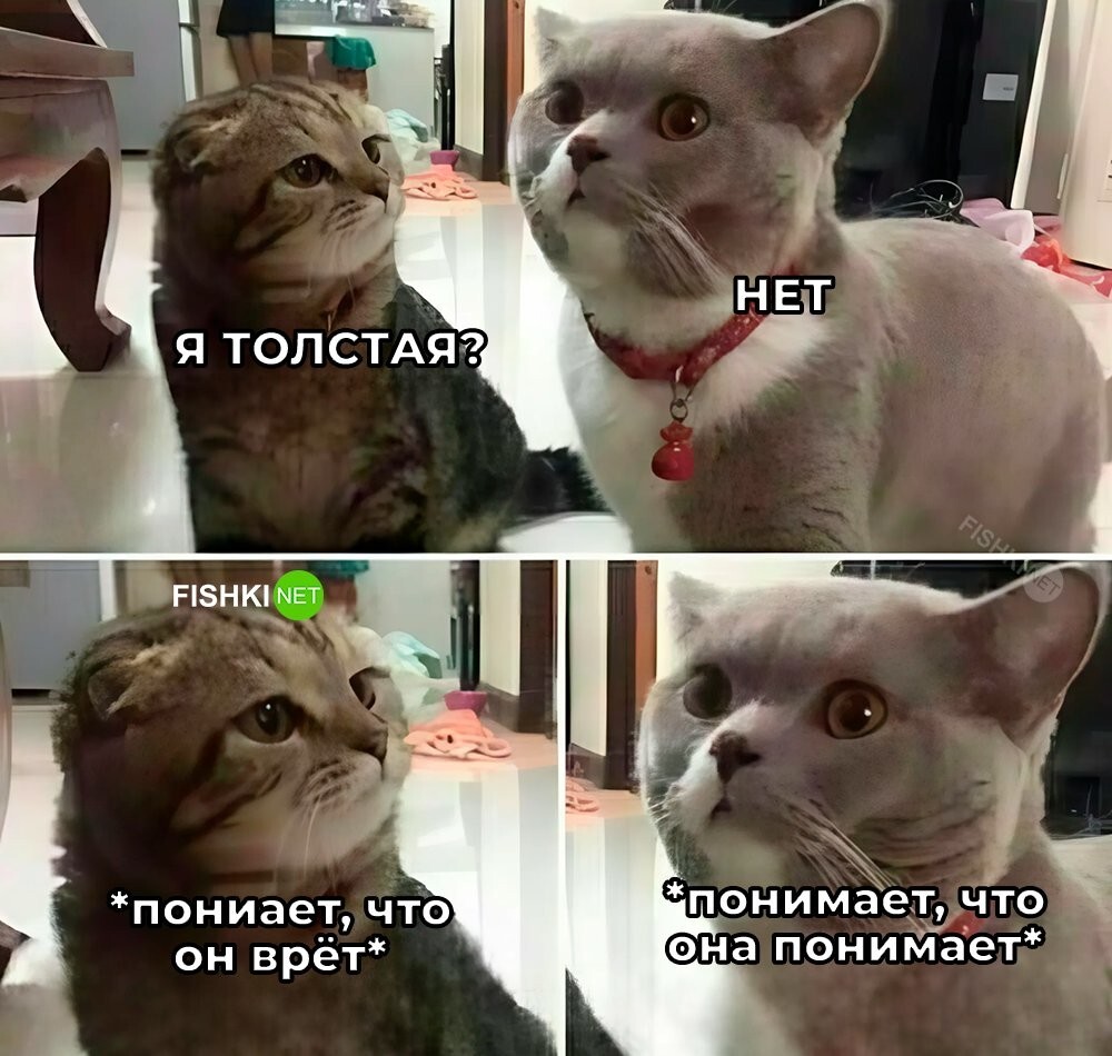 Скрины из соцсетей