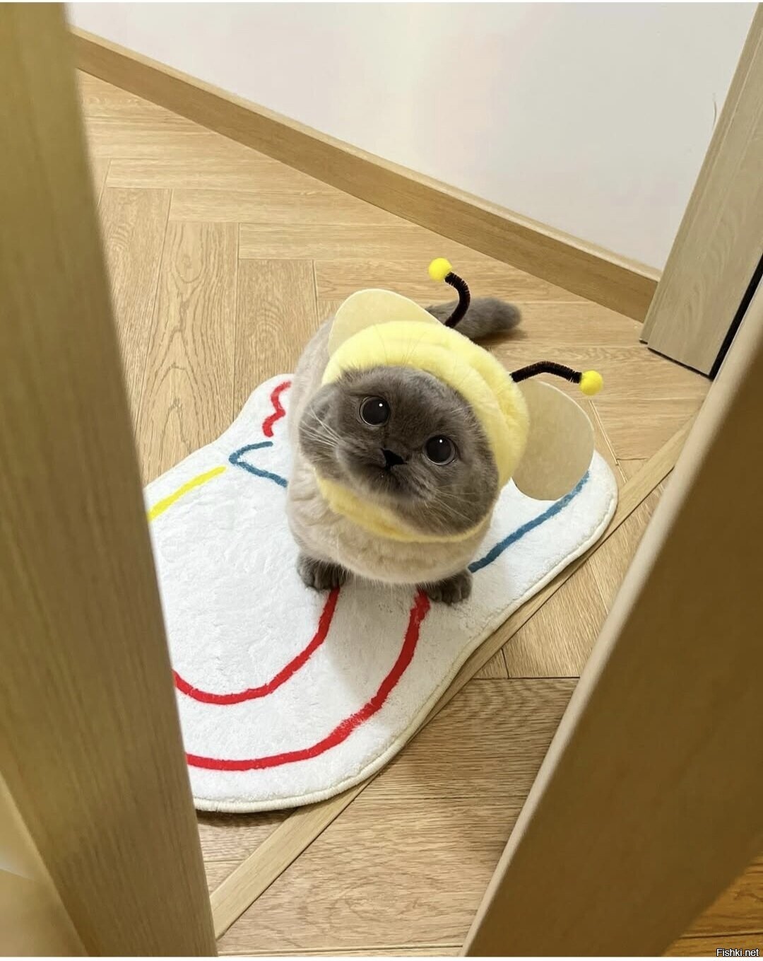 Доброе утро