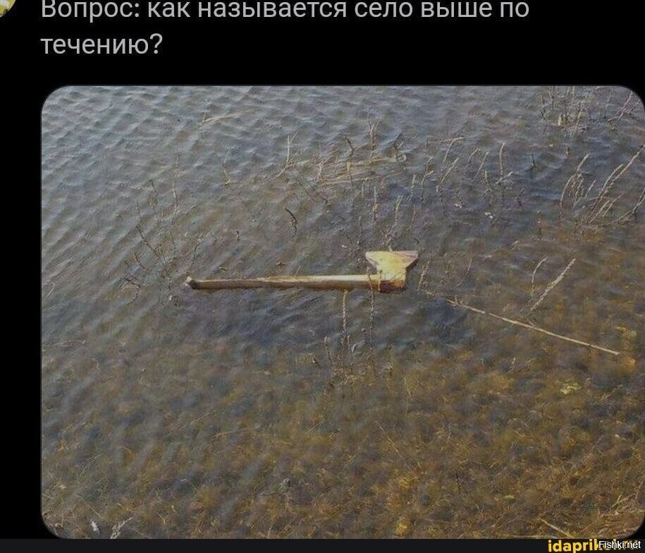 Солянка