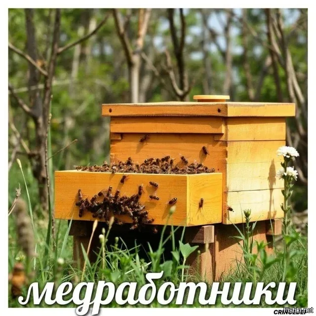 Солянка