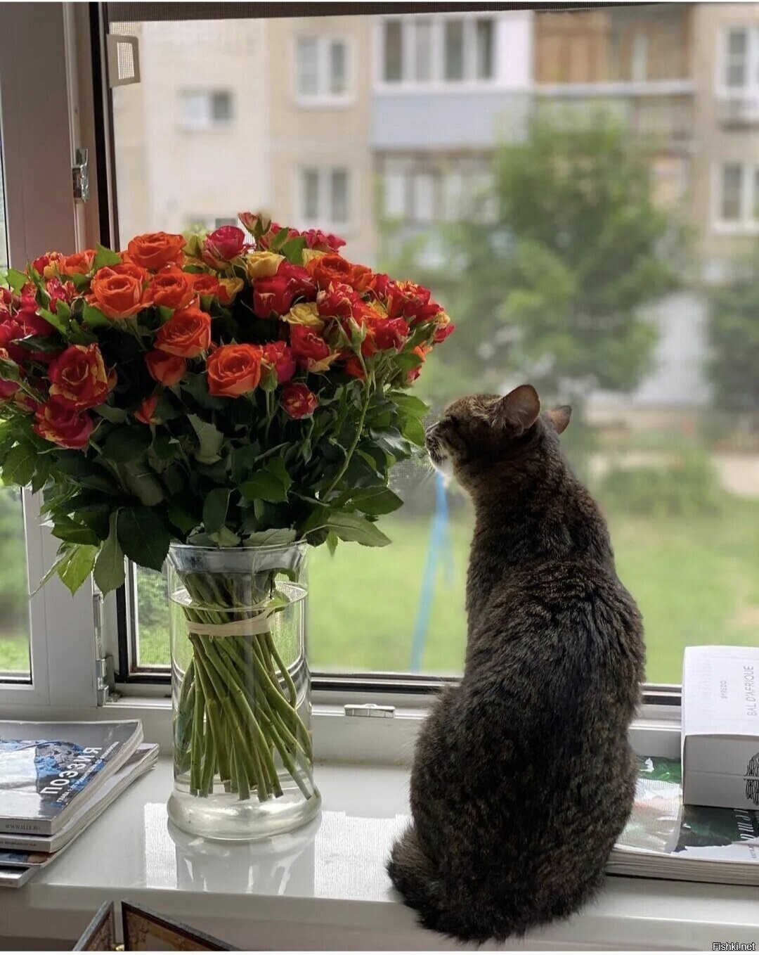 Доброе утро