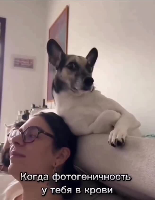 Сфоткал