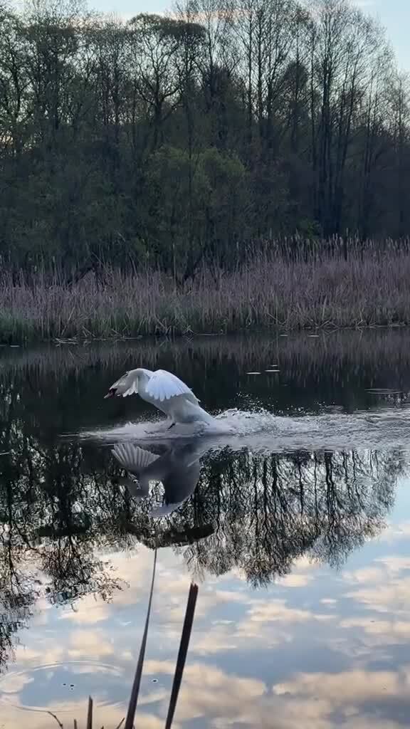 Чёткая посадка)