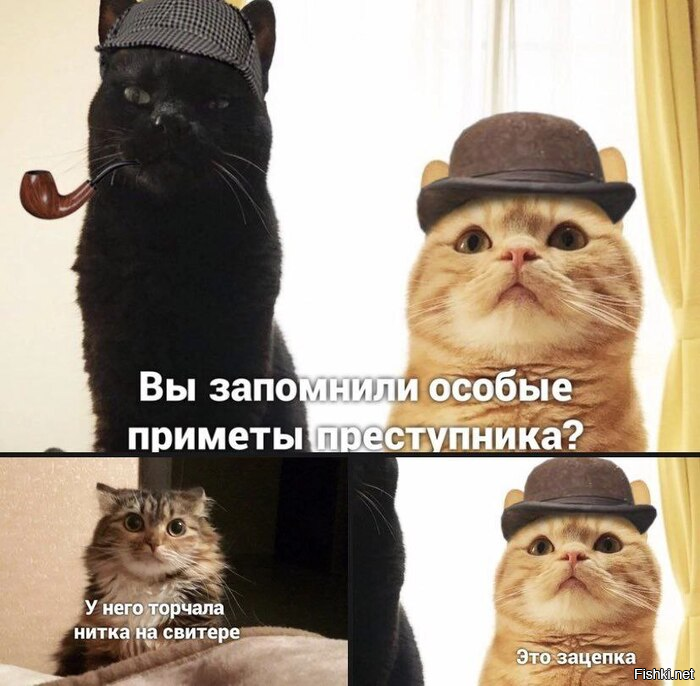 Доброе утро