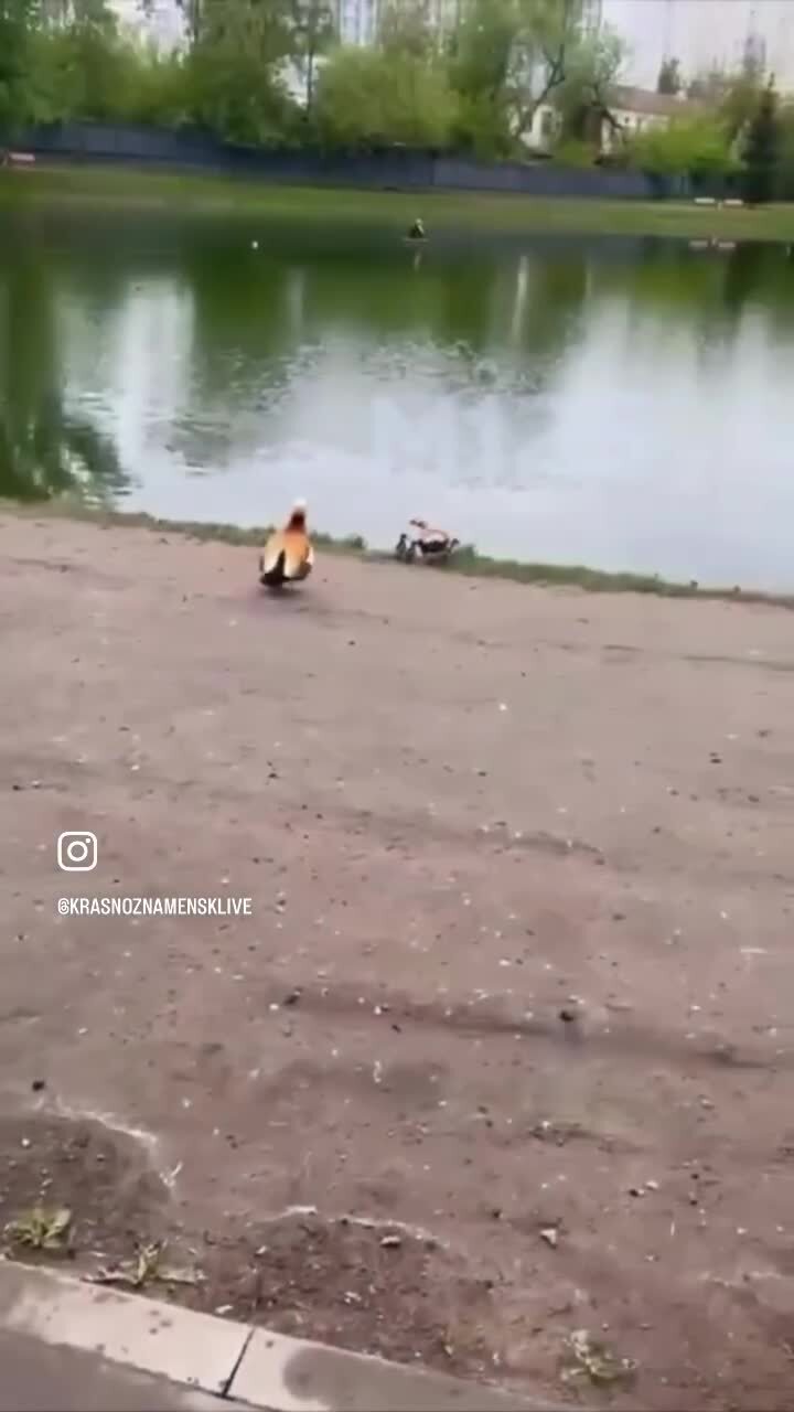 Воссоединение семейства