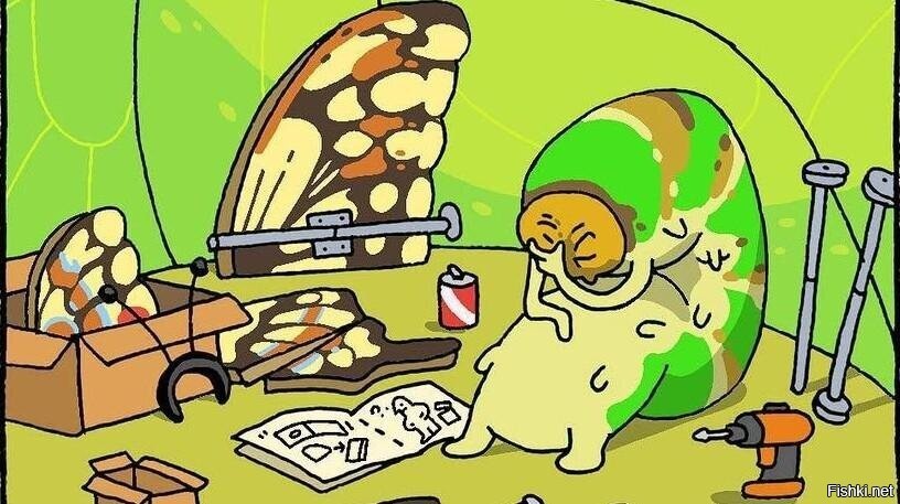 Солянка