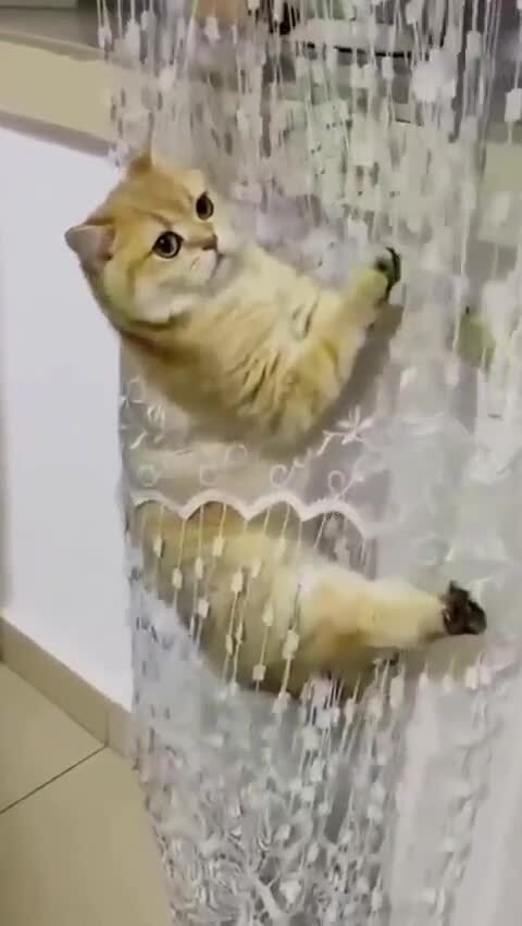 Всё "обновят")))