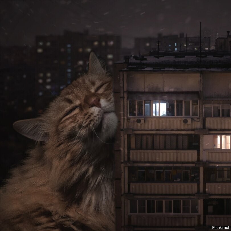 Солянка