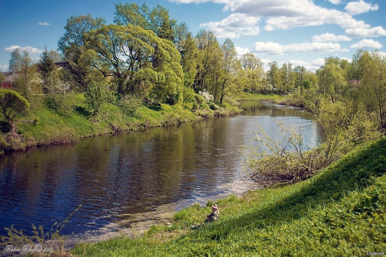Солянка