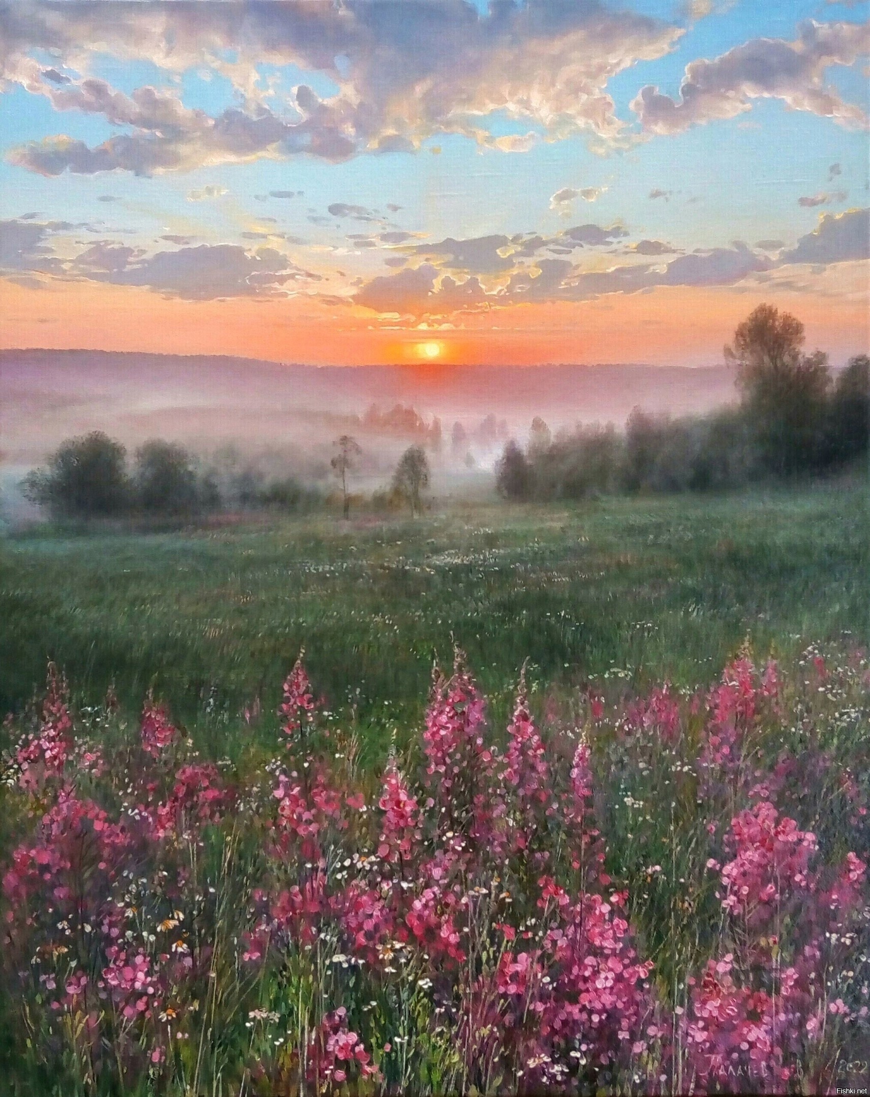 Солянка