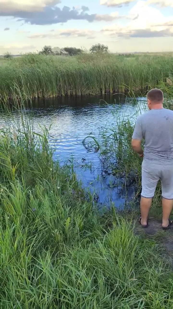 Быстрая рыбалка)