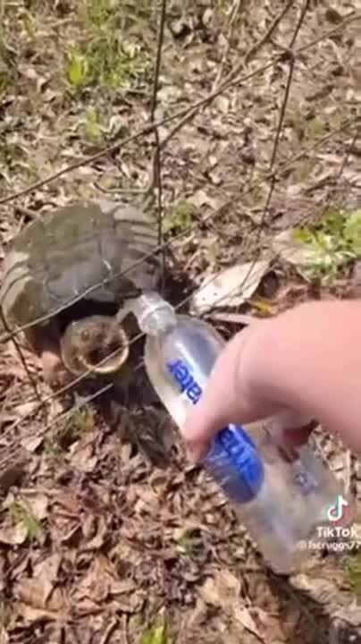 Завтрак