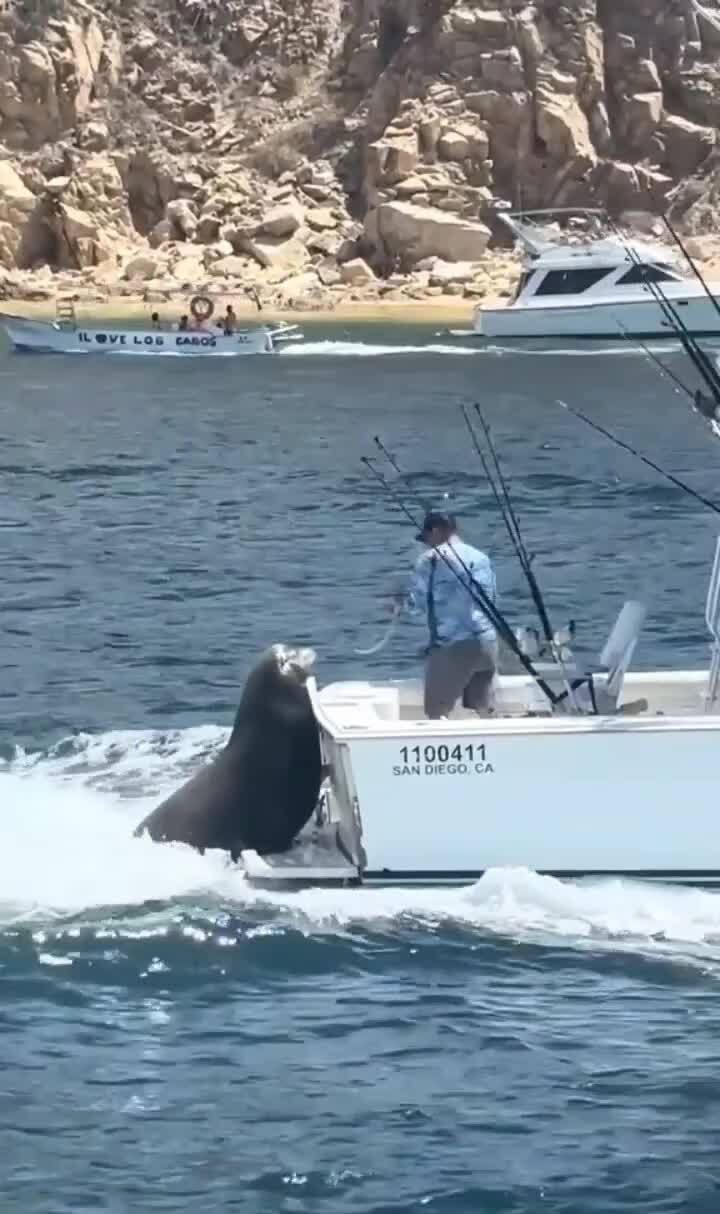 Удобно пристроился)
