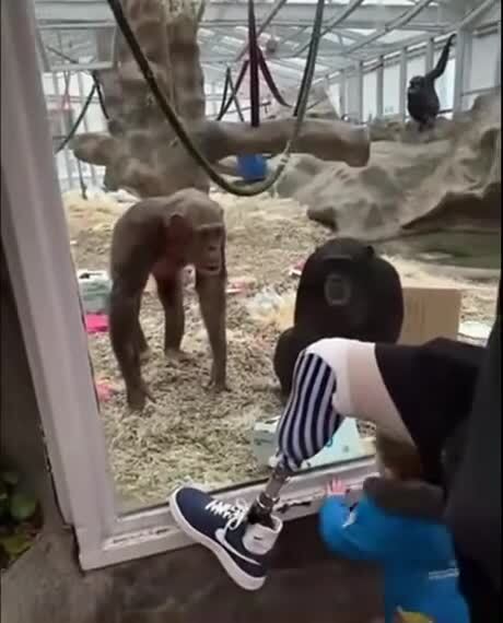 что было бы если бы он его отстегнул