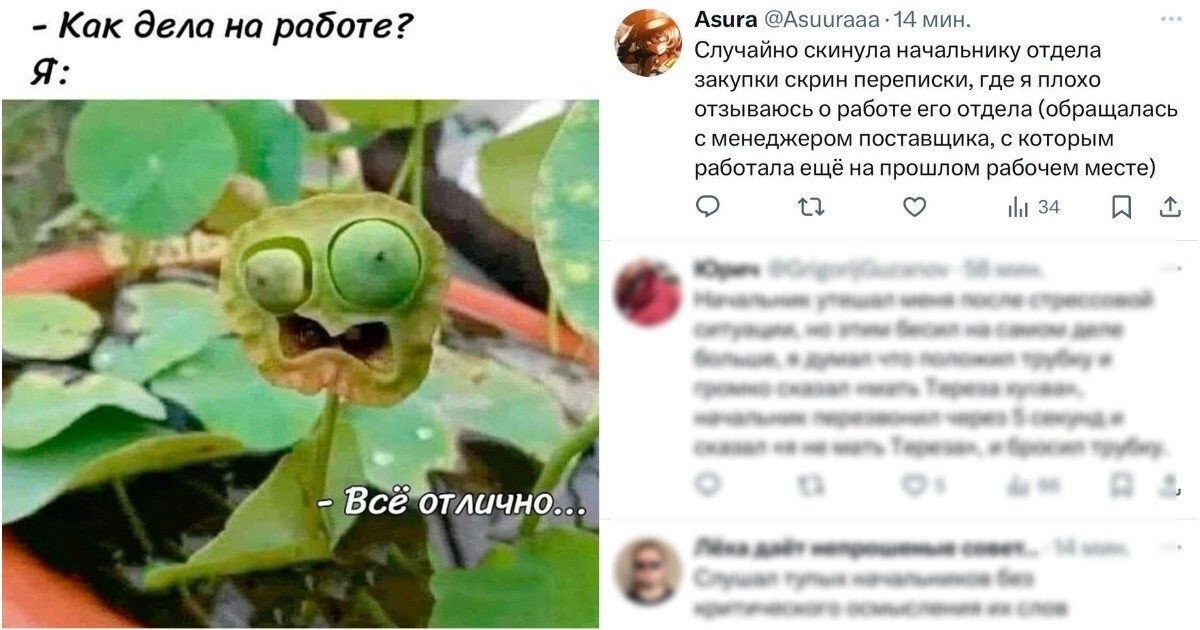 Что самое стыдное, связанное с работой, вы делали?