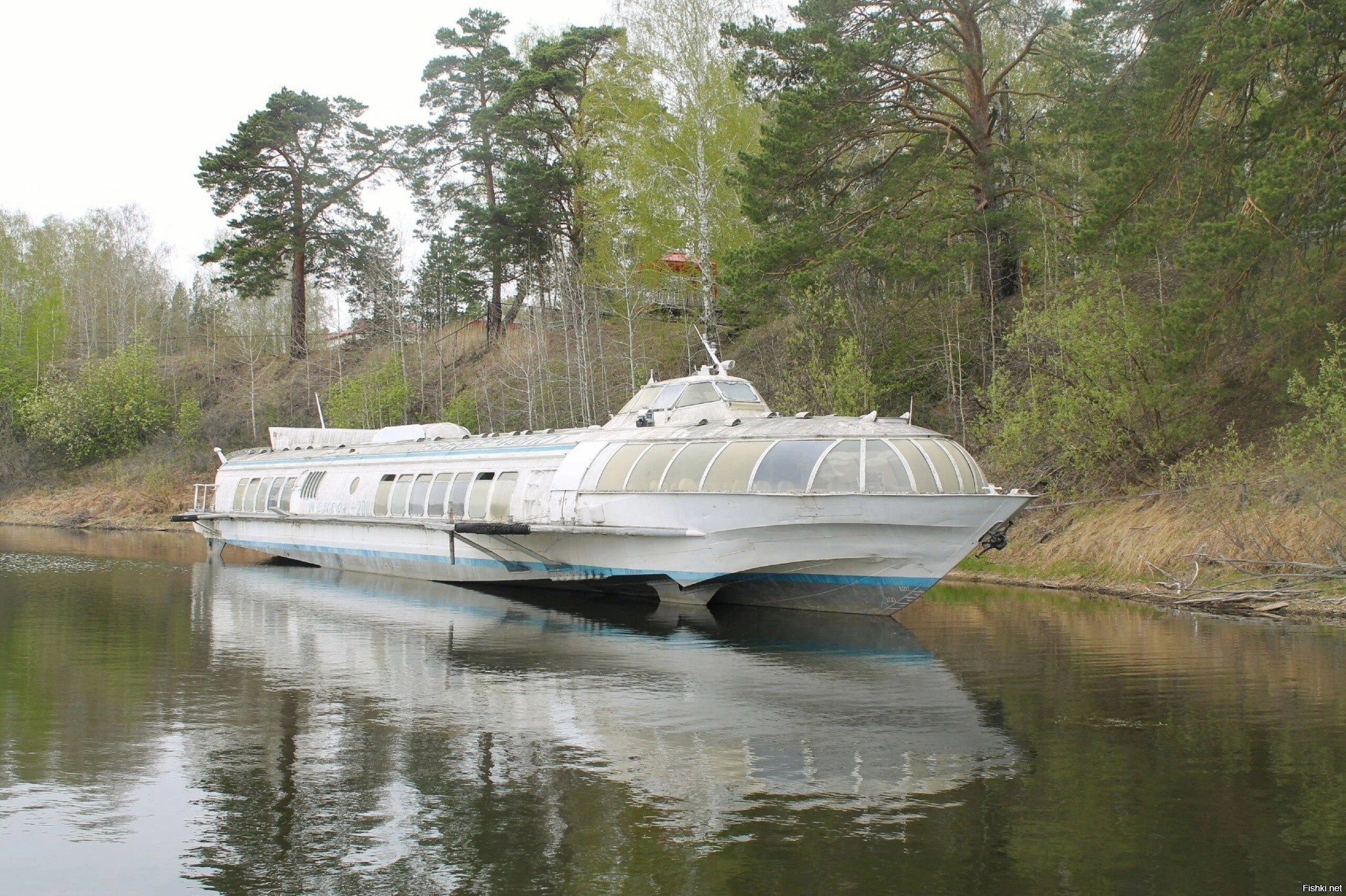 Солянка