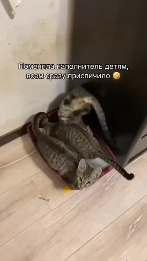 Классика 