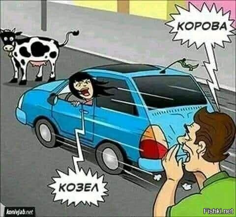 Солянка