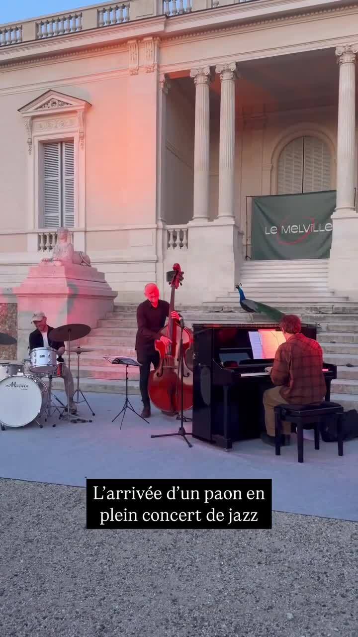 Птичка спела)